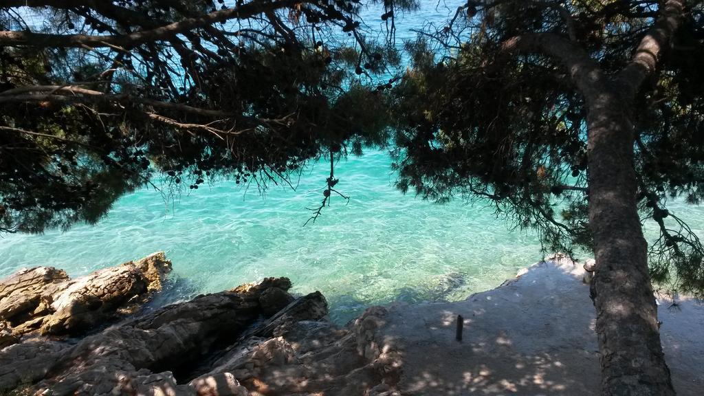 Vila Suzana Tribalj Εξωτερικό φωτογραφία